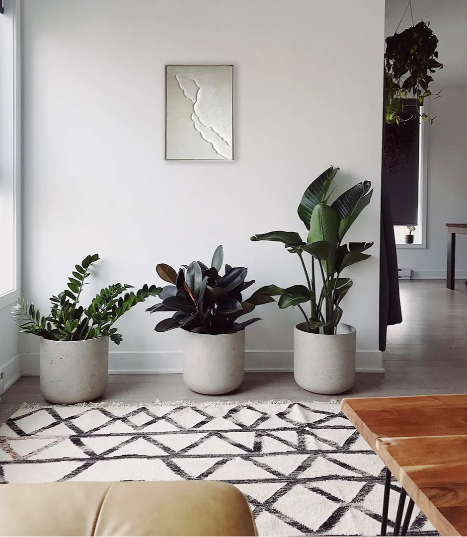 【Beach-soak-】70×50cm #2577